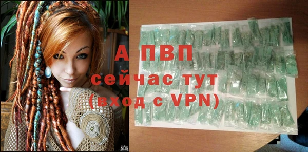 дживик Лабытнанги