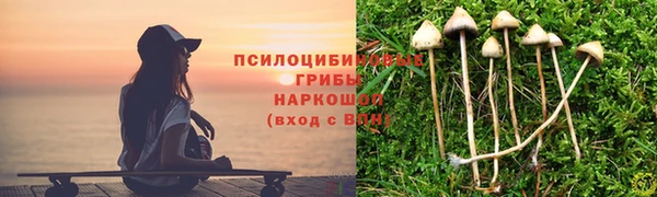 а пвп мука Краснослободск