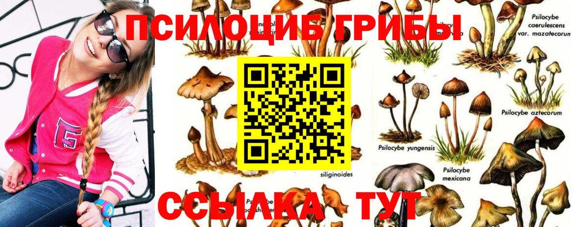 Галлюциногенные грибы мухоморы  Вход с VPN  Михайловка  Псилоцибиновые грибы Psilocybe 