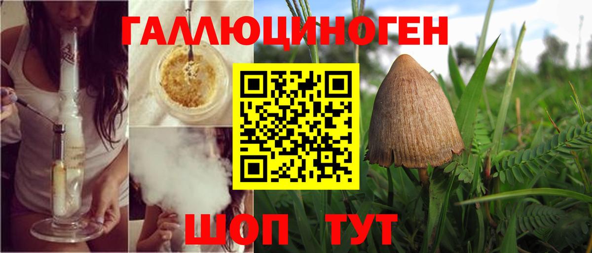 Псилоцибиновые грибы GOLDEN TEACHER Михайловка