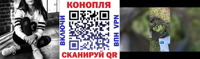 Конопля White Widow  маркетплейс телеграм  Михайловка 